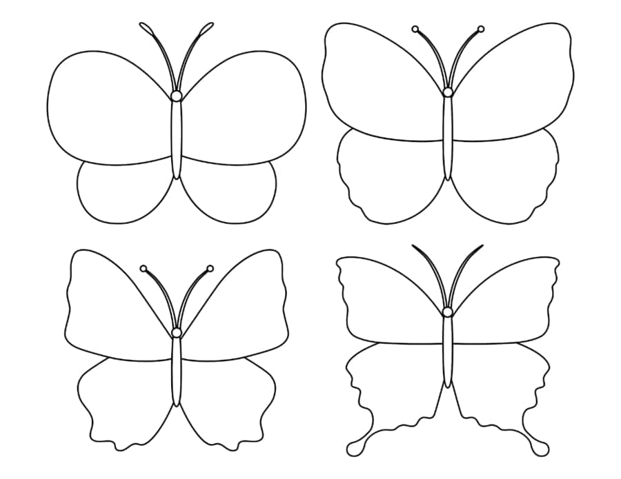 Free Printable Butterfly Set Tracing Worksheets Pdf Free Vectors